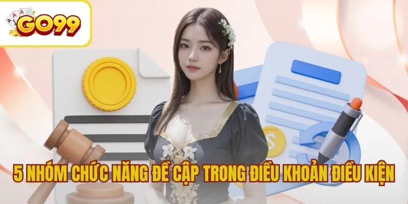 5 Nhóm chức năng đề cập trong điều khoản điều kiện